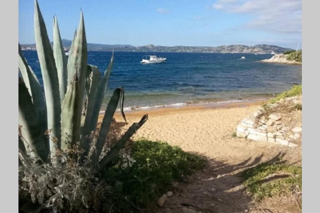 Casa Maddalenina Con Giardino, Vicino Al Mare! Lejlighed La Maddalena  Eksteriør billede